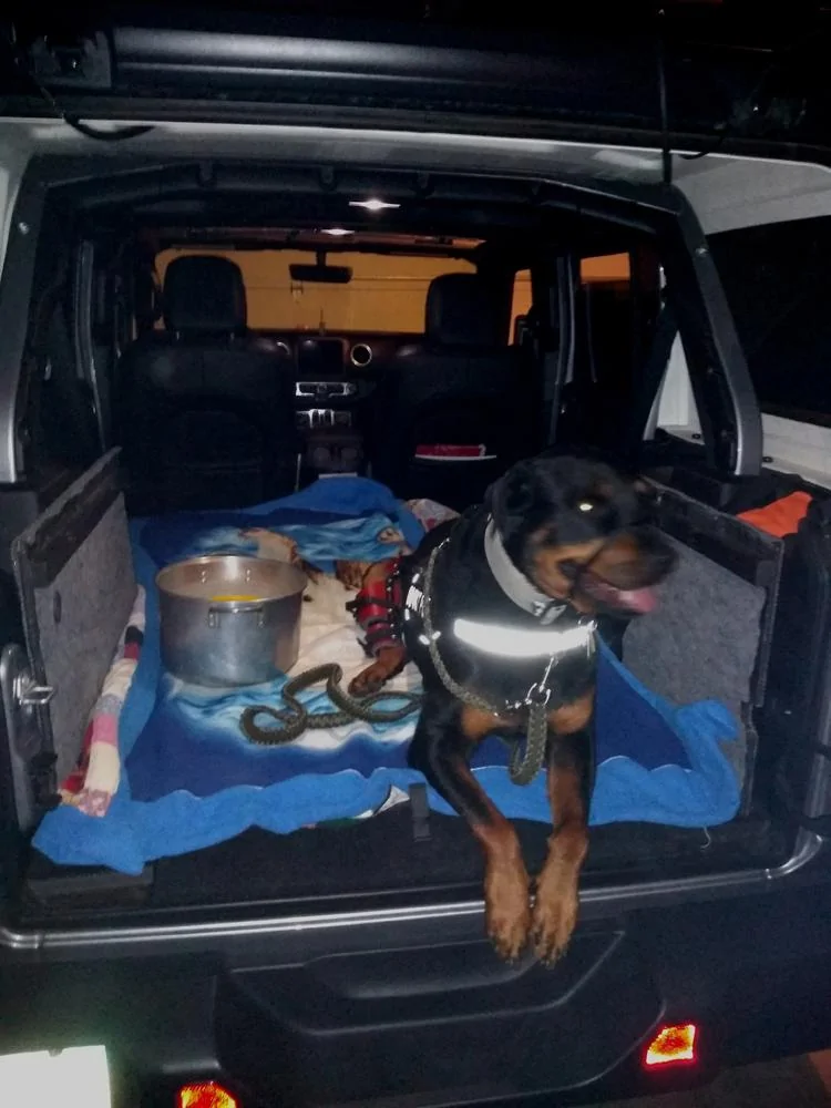 Jeep Wrangler JL Jeep Dog pics 19 7-26