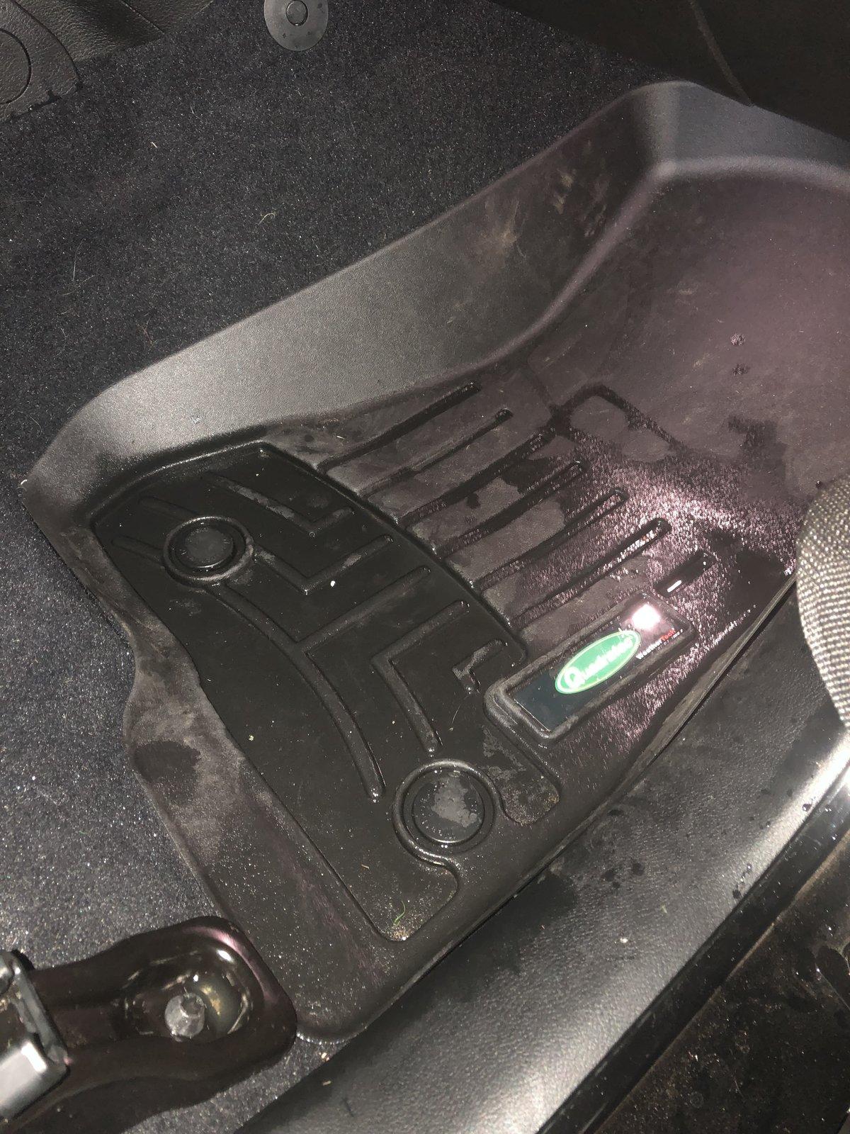 Jeep Wrangler JL What did you do TO your Jeep JL today? BC709403-3D64-41D1-AD5D-6784E46F7FE4