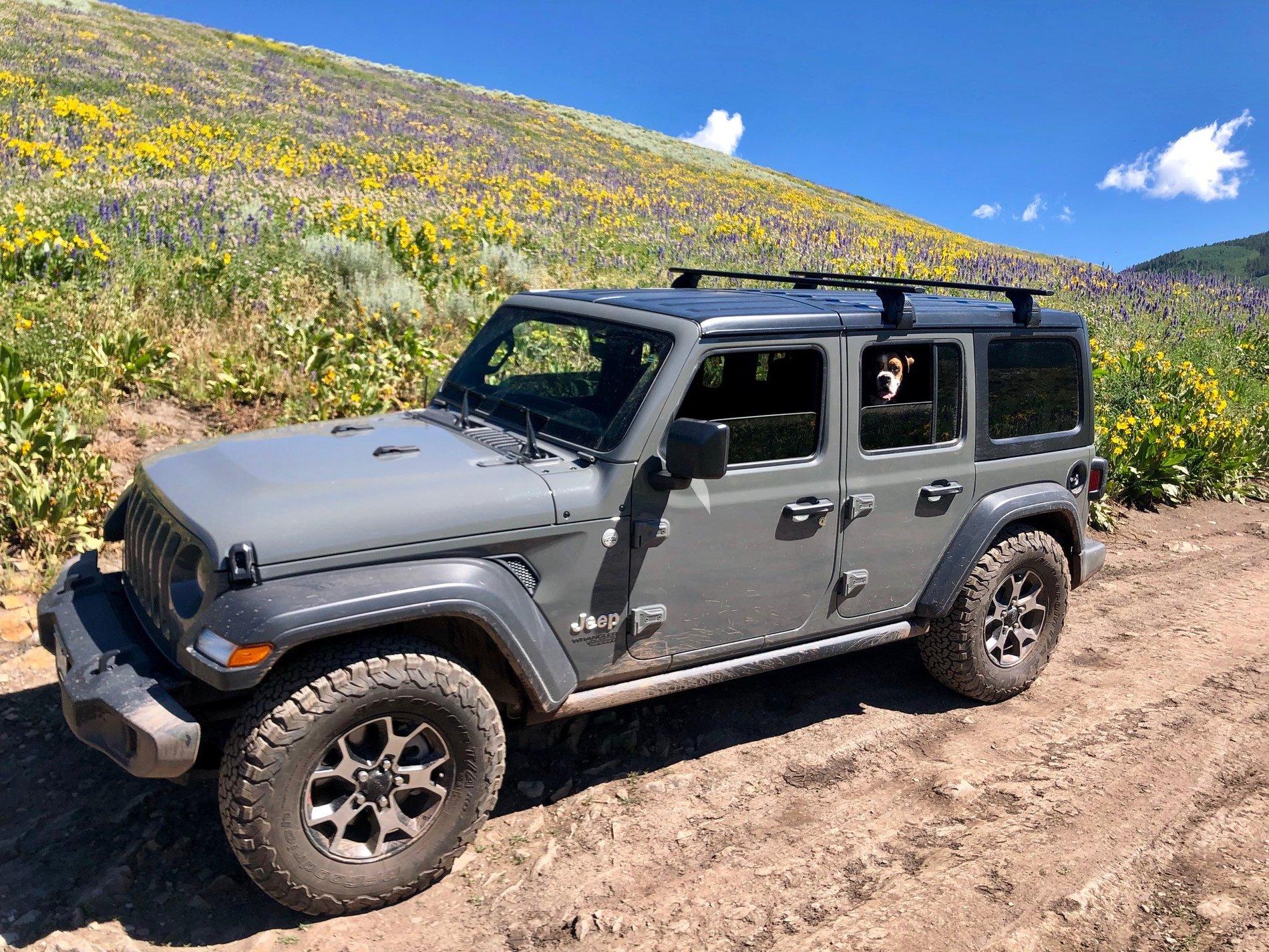 Jeep Wrangler JL Jeep Dog pics moxie-cb