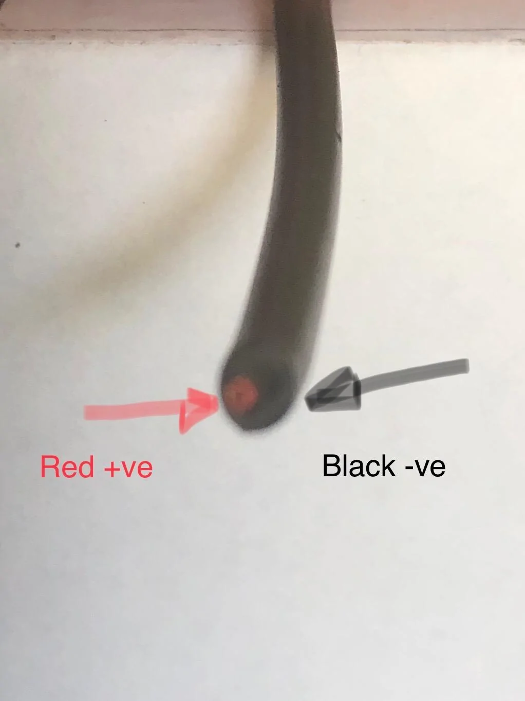 Jeep Wrangler JL Light wiring question IMG_1750