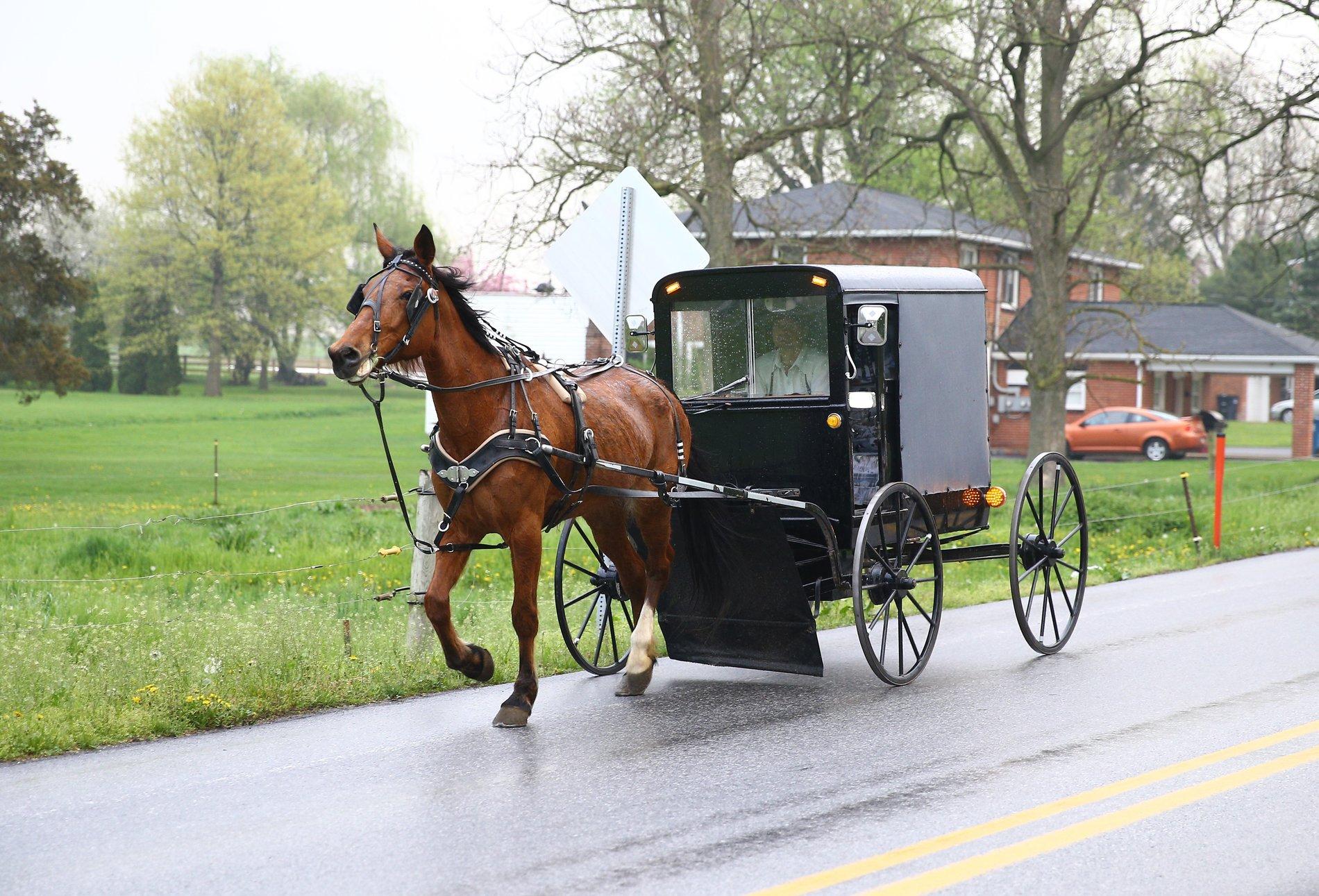 Jeep Wrangler JL Rubicon vs Moab amish-horse-buggy