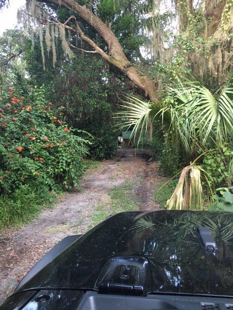 Jeep Wrangler JL Southern Redneck Question E42D26CB-9441-4B66-A58C-8856128DFBD4