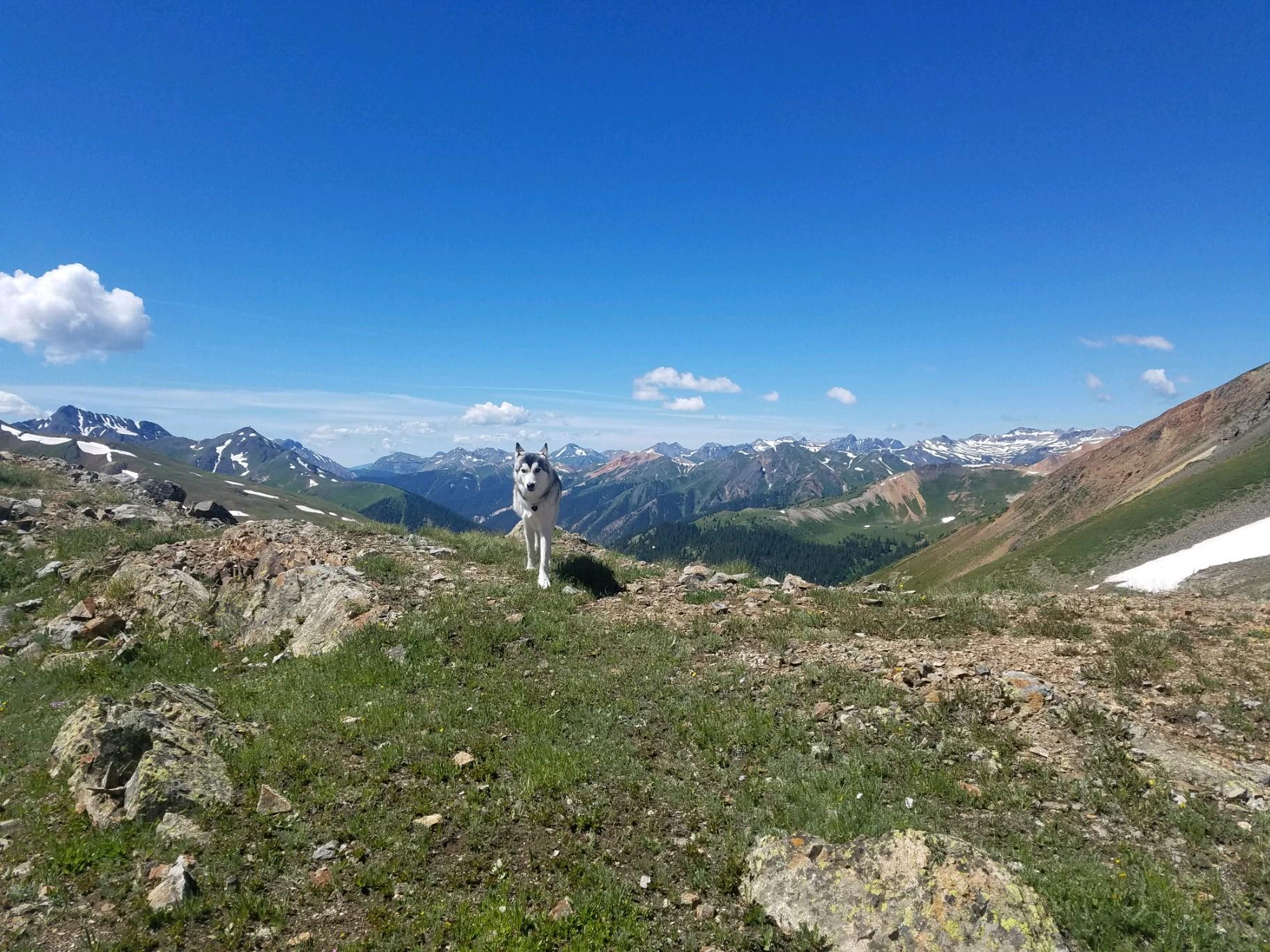 Jeep Wrangler JL Ouray is Seriously Epic 16050