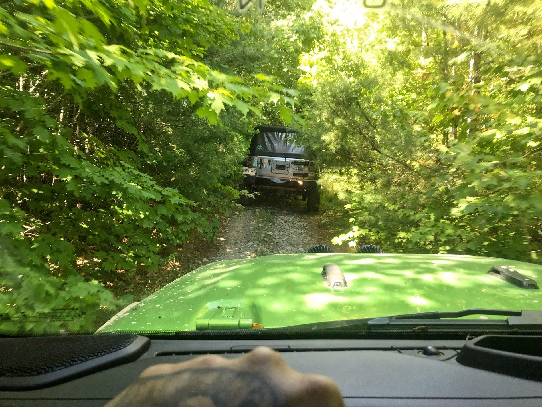 Jeep Wrangler JL The Non-Rubicon Jl & JLU Thread 4ACF2771-F6FB-46B8-BD9F-CE79EA0EDA6A