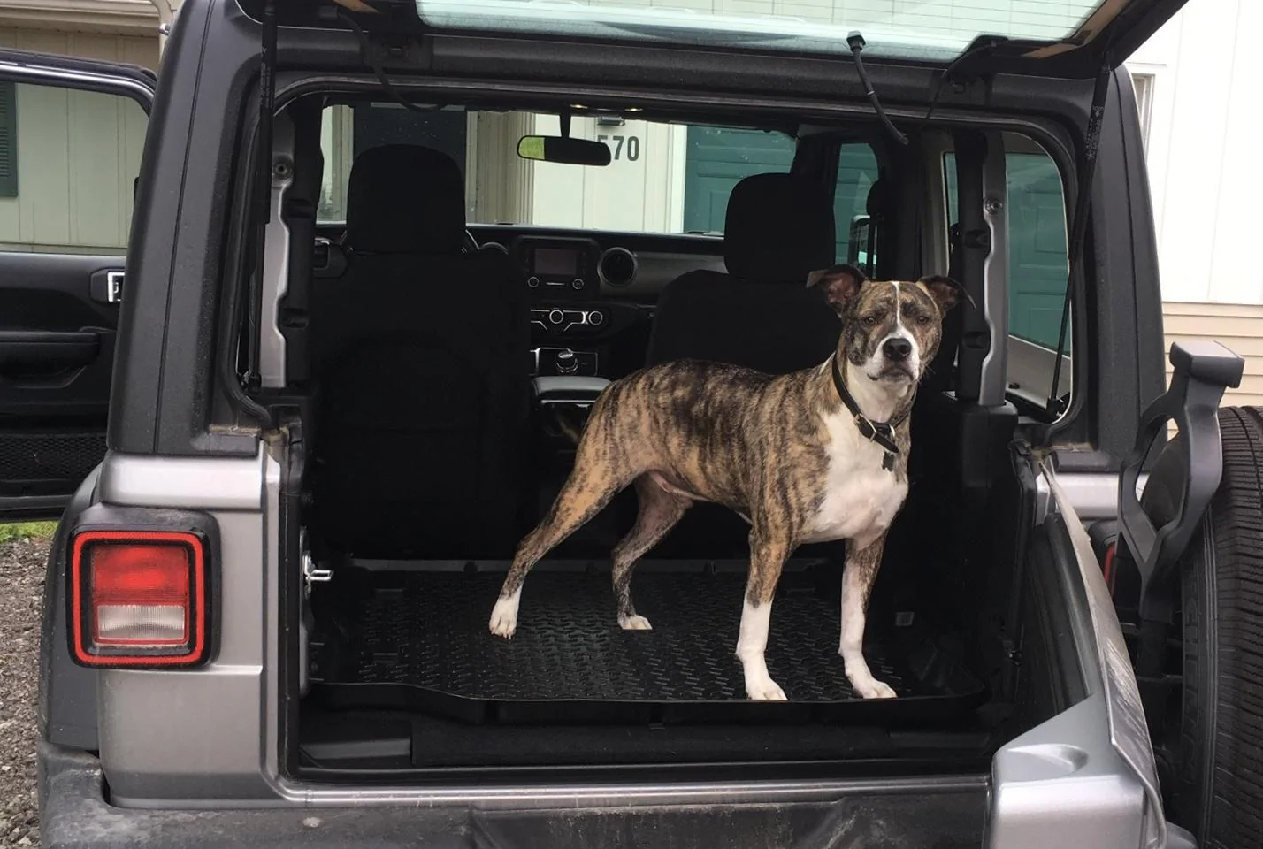 Jeep Wrangler JL Jeep Dog pics 44806579-19CF-4ABE-88E9-5AD8CD90C03E