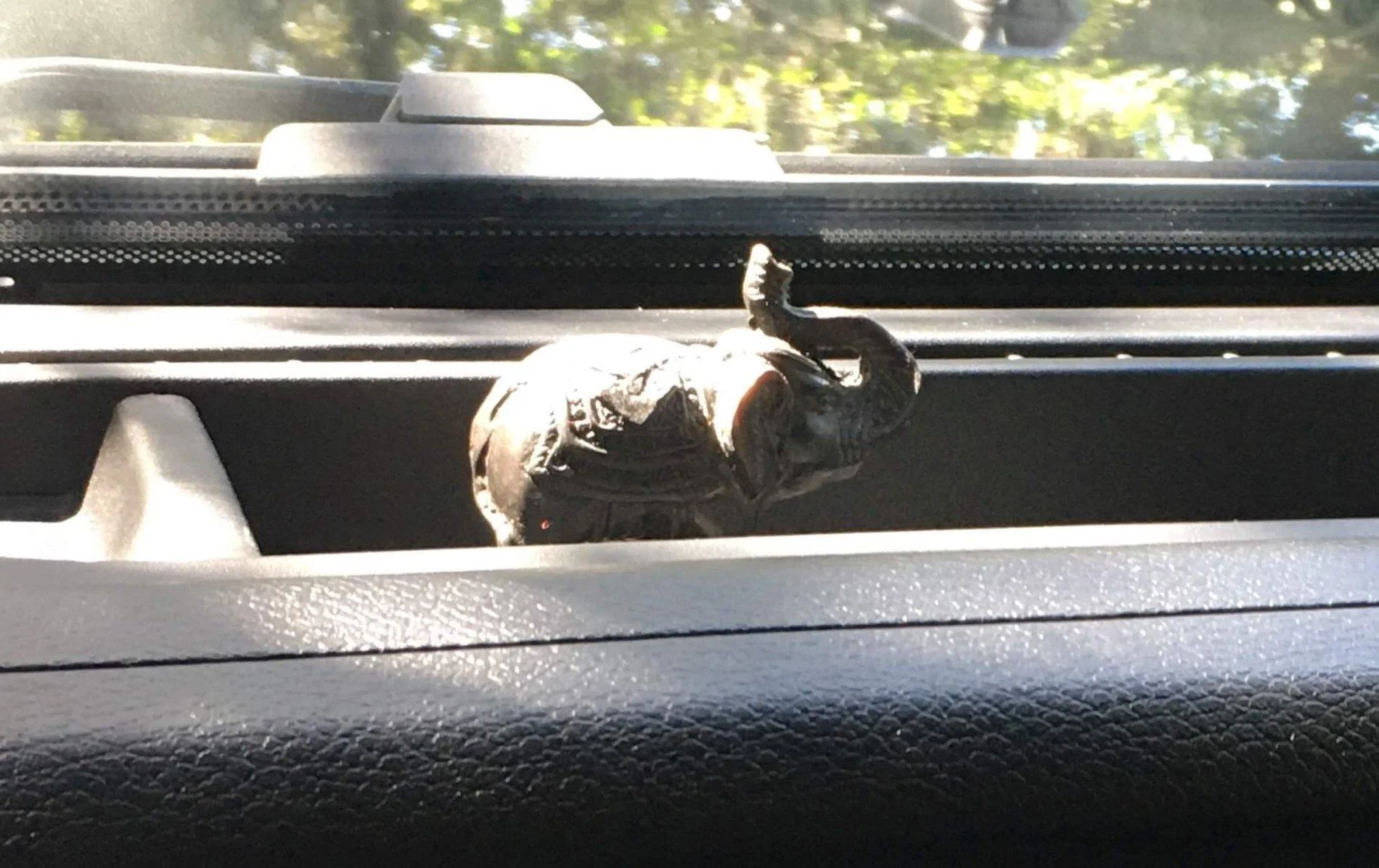 Jeep Wrangler JL Anyone else have a mascot? 69ABE527-C06C-4419-9AB3-493E1D2E2736
