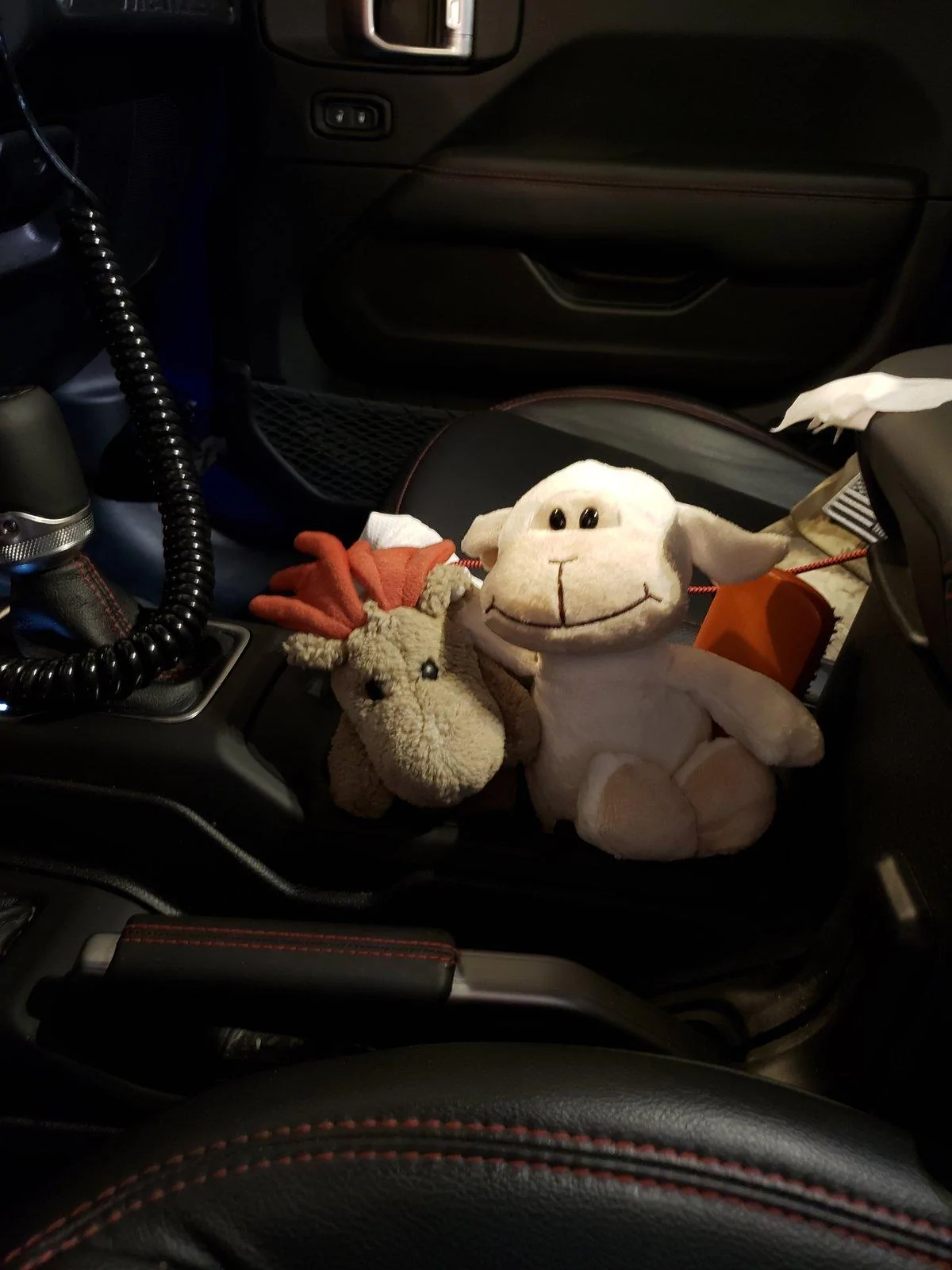 Jeep Wrangler JL Anyone else have a mascot? 20190913_110338