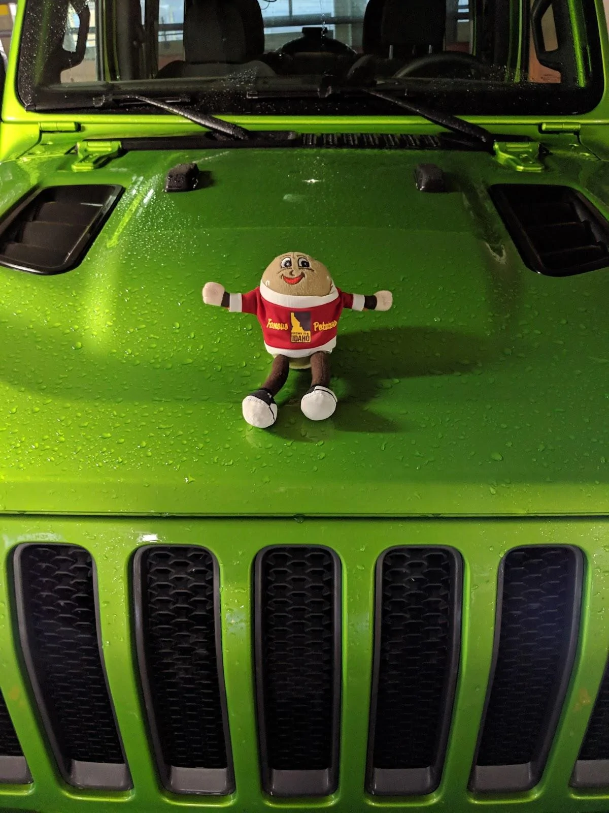 Jeep Wrangler JL Anyone else have a mascot? xSkZgibUaB7e2ZetIa0IXYiXBi3FOsvlnESM_UjXfBJJs464SlNT0WuuHYBrVH49hG4qFMwcXqvaVOAEQ=w1200-h1600