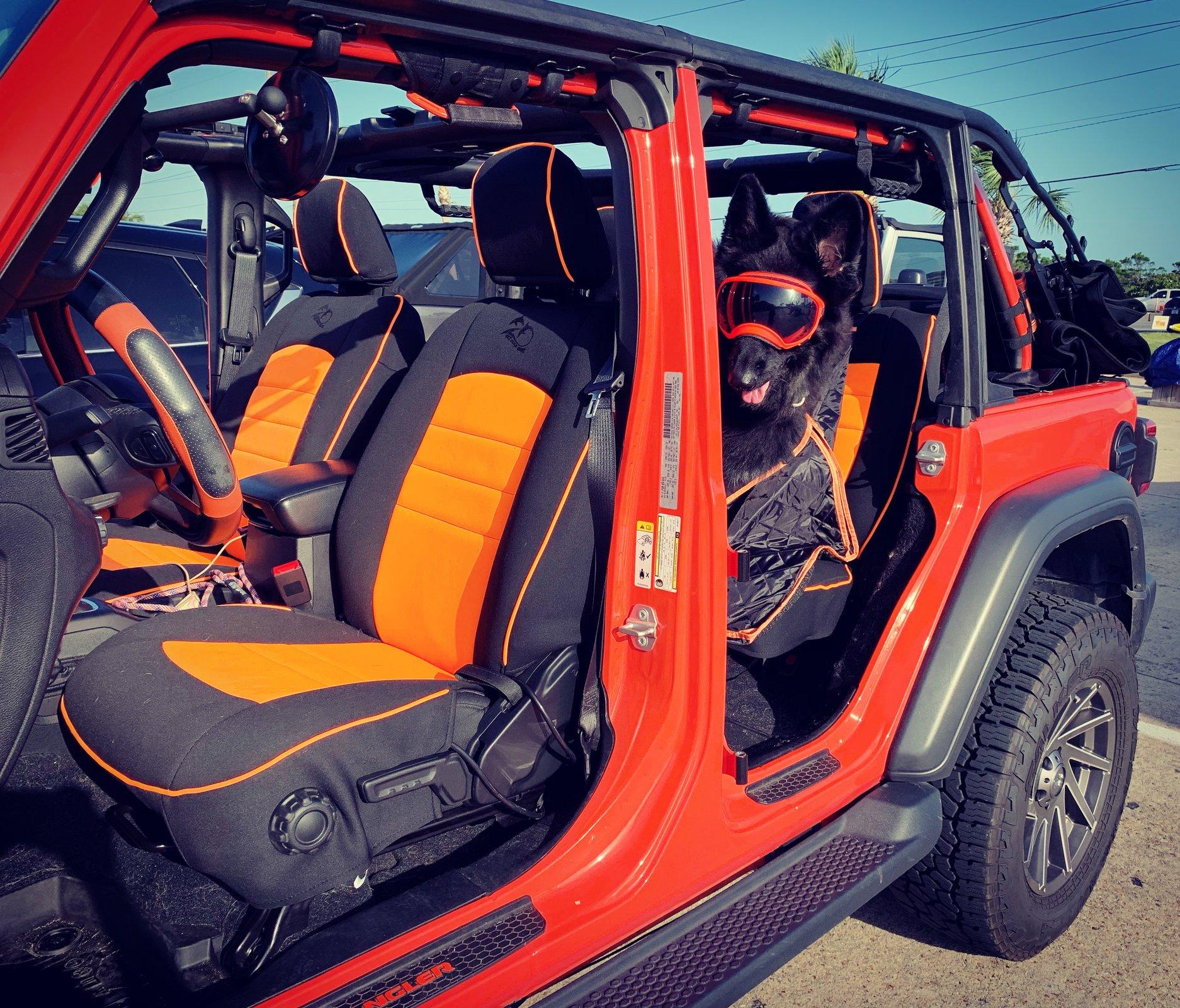Jeep Wrangler JL Anyone else have a mascot? BB89143C-8630-47FE-9093-FCFE1DFBB259