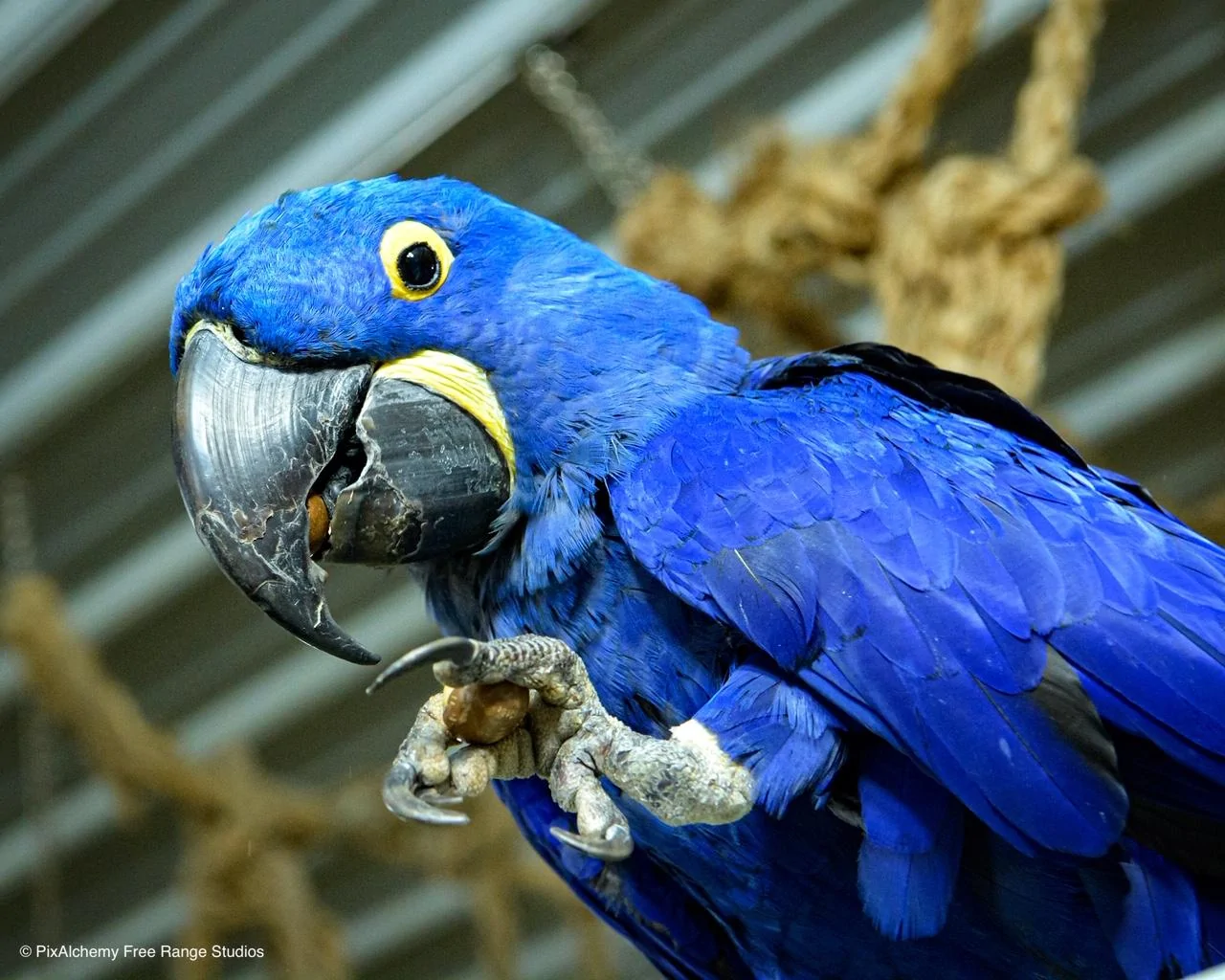 BT1_2456.webp