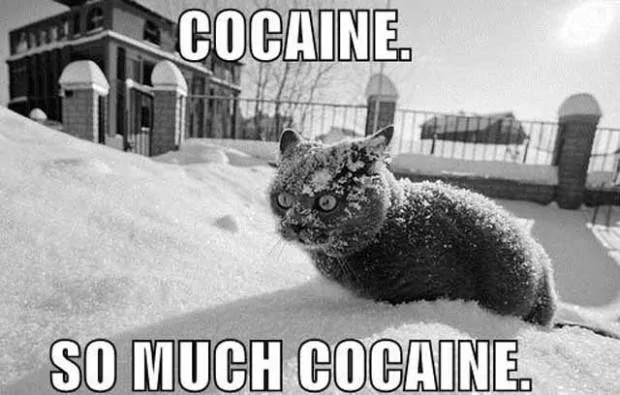 Jeep Wrangler JL Jeep humor waiting room ( ** NO POLITICS ** ) coke_cat_freak
