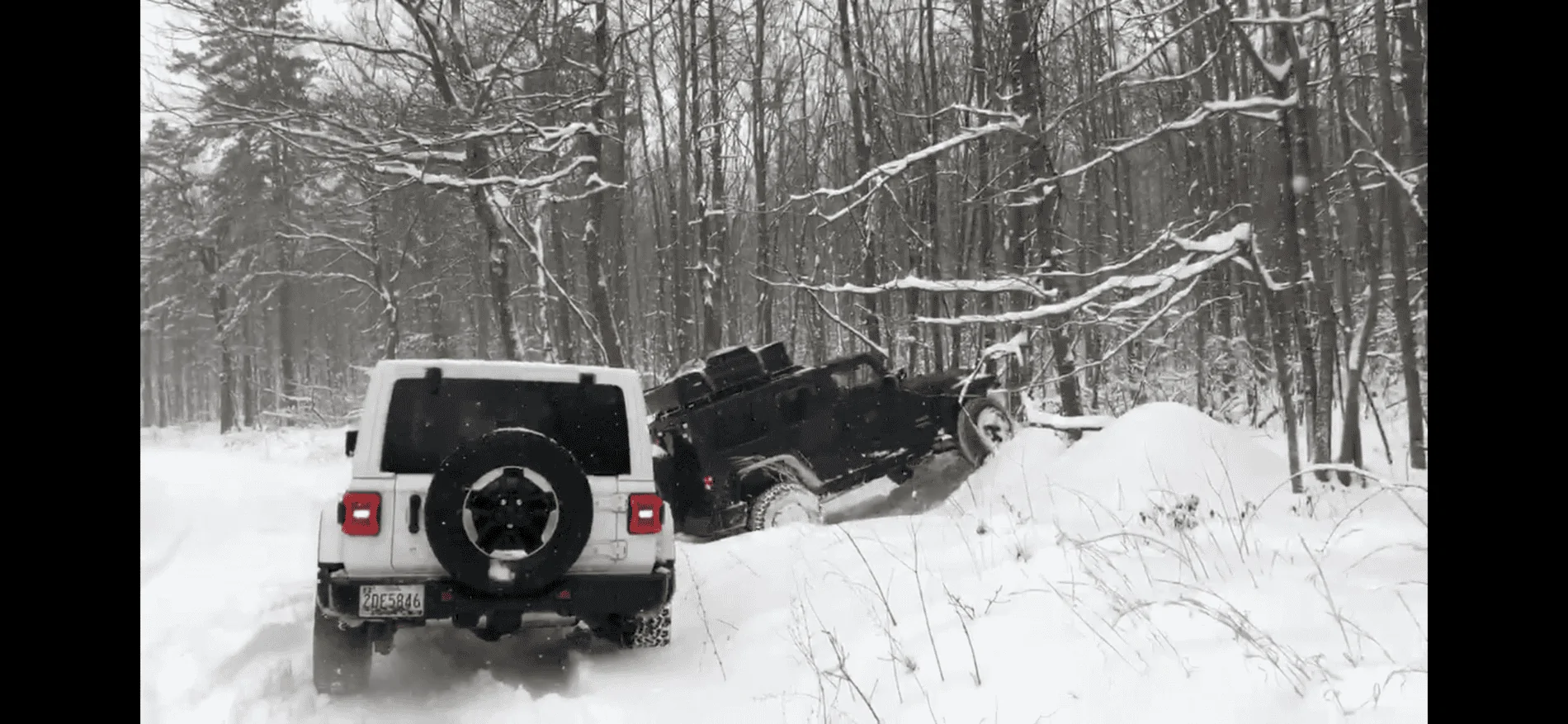 Jeep Wrangler JL What did you do TO your Jeep JL today? EC145A52-5DE7-45EF-B63D-586C80D0F76E