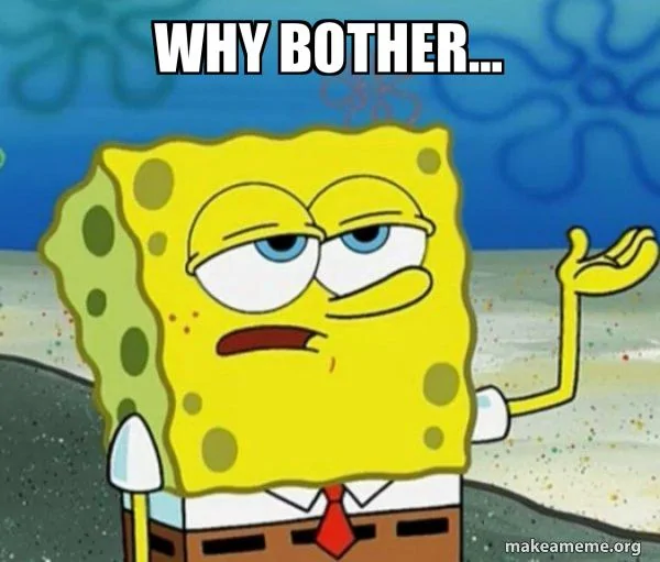 why-bother-c034c418ec.webp