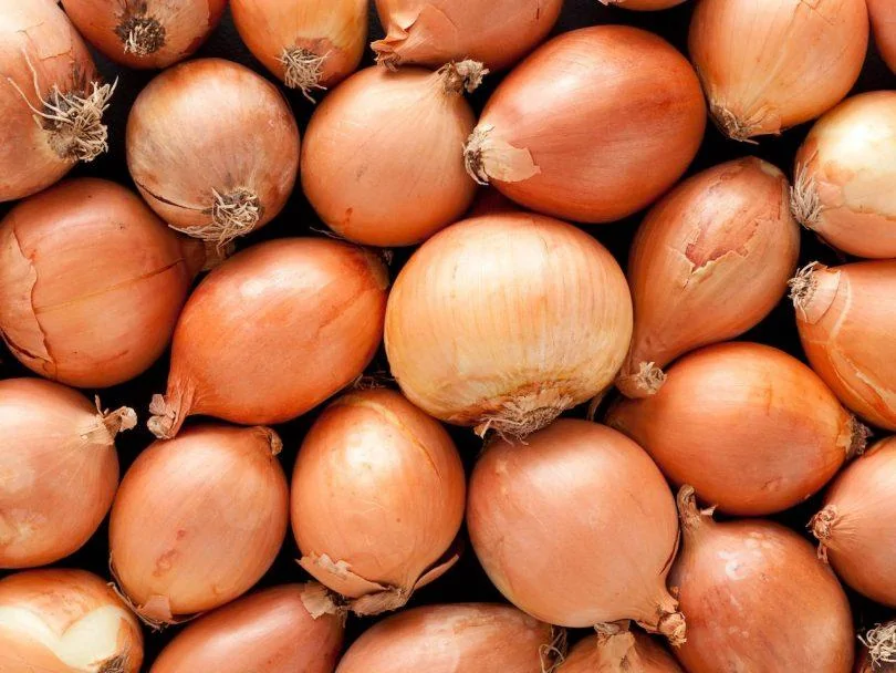 types-of-onions-810x608.webp
