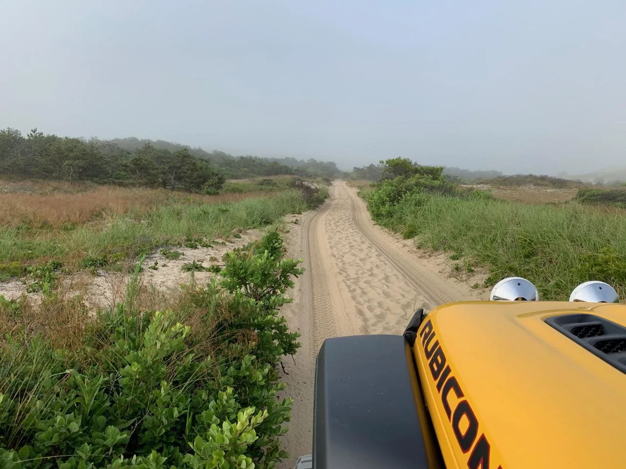 Jeep Wrangler JL Rubicon photos Hella JLUR - 4