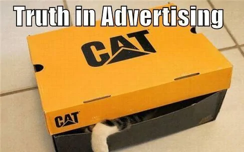 truth in advertising (2).webp