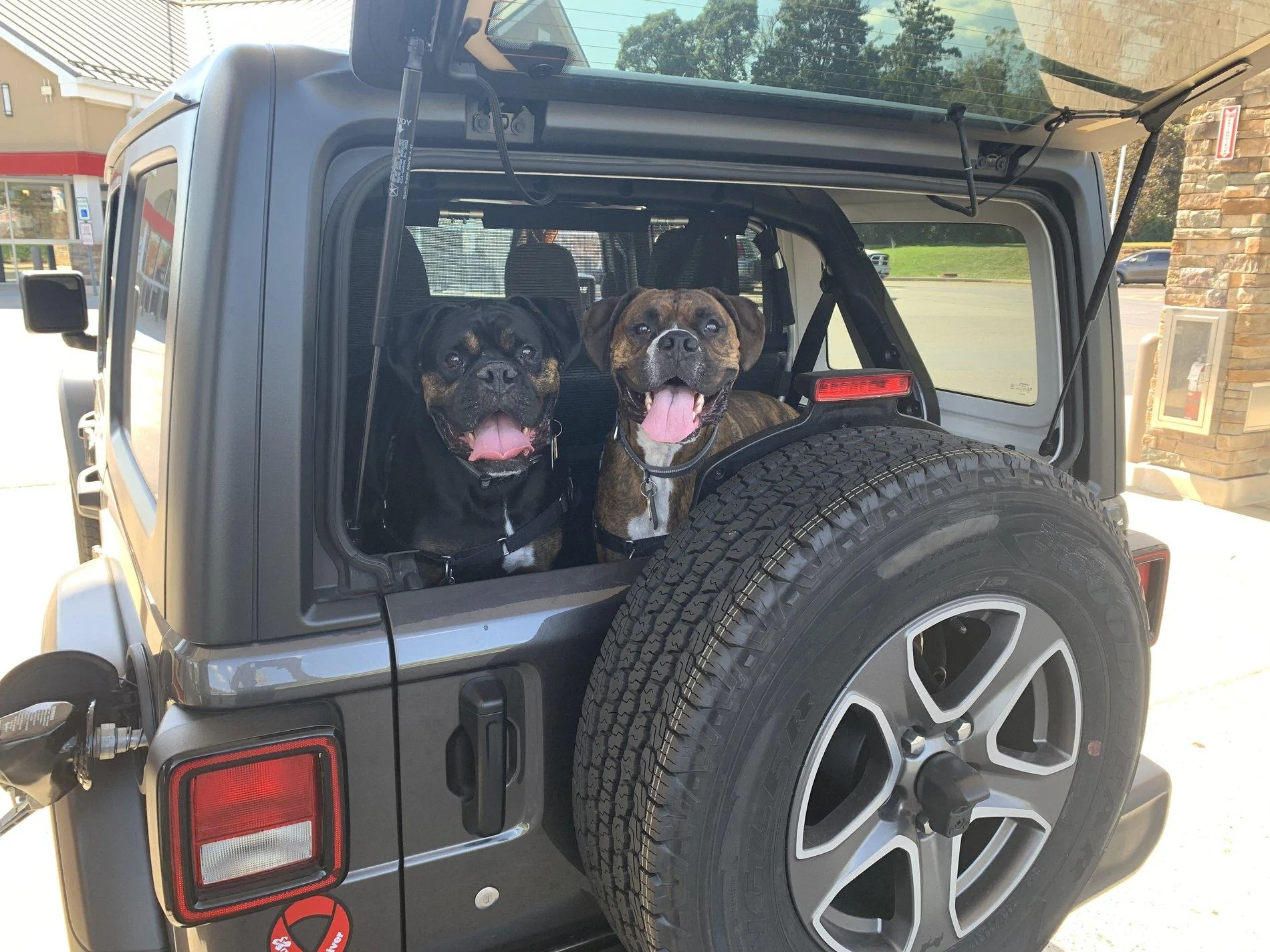 Jeep Wrangler JL Jeep Dog pics DF3259CD-E240-49AE-8456-A16758C9F24C