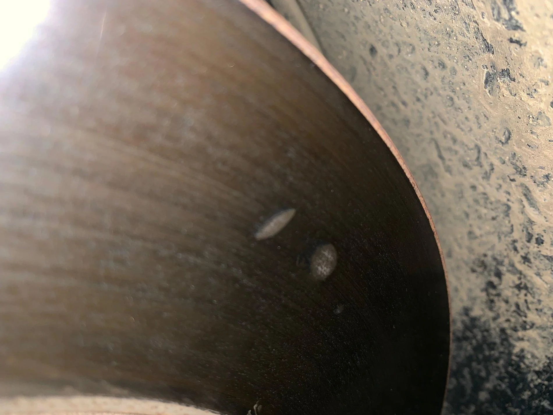 Jeep Wrangler JL Anyone else have brake rotor pitting? IMG_1776