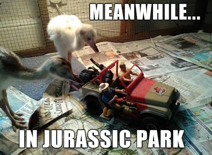 Jeep Wrangler JL Jeep humor waiting room ( ** NO POLITICS ** ) meanwhil
