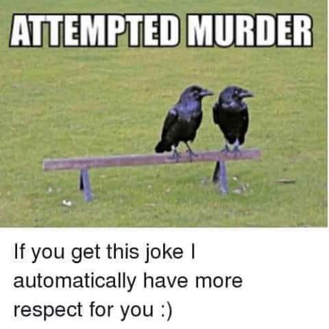 FB_IMG_1570151334583.jpg