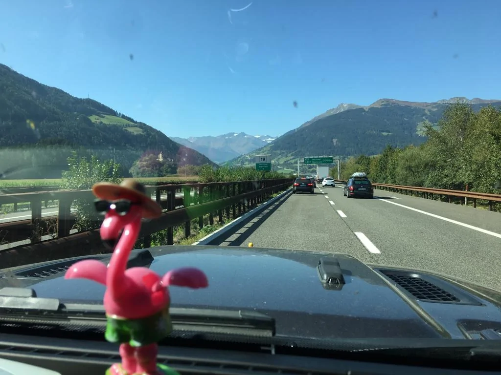 Jeep Wrangler JL Anyone else have a mascot? IMG-20191004-WA0000