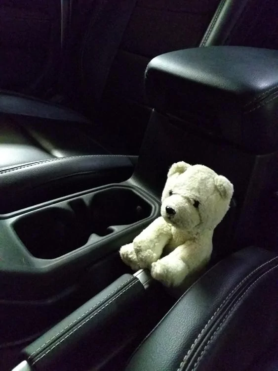 Jeep Wrangler JL Anyone else have a mascot? Rumbl