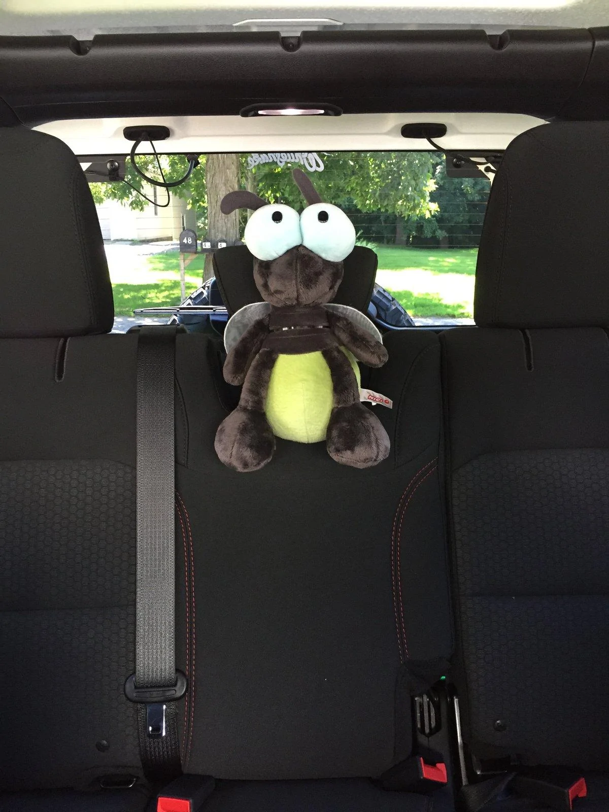 Jeep Wrangler JL Anyone else have a mascot? A17DDD27-D528-4D14-9FC2-34D651981D6F