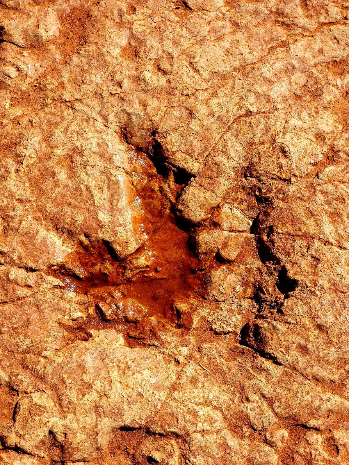 20191007_131135.jpg