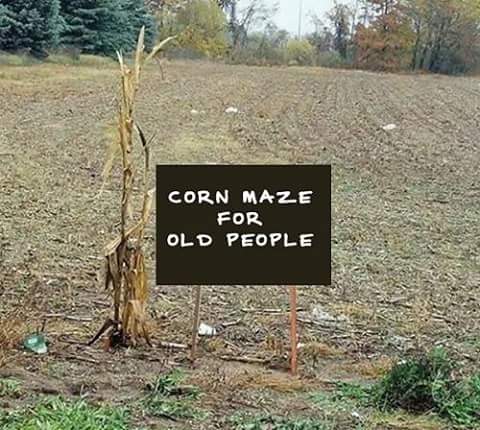Jeep Wrangler JL Jeep humor waiting room ( ** NO POLITICS ** ) cornmaze