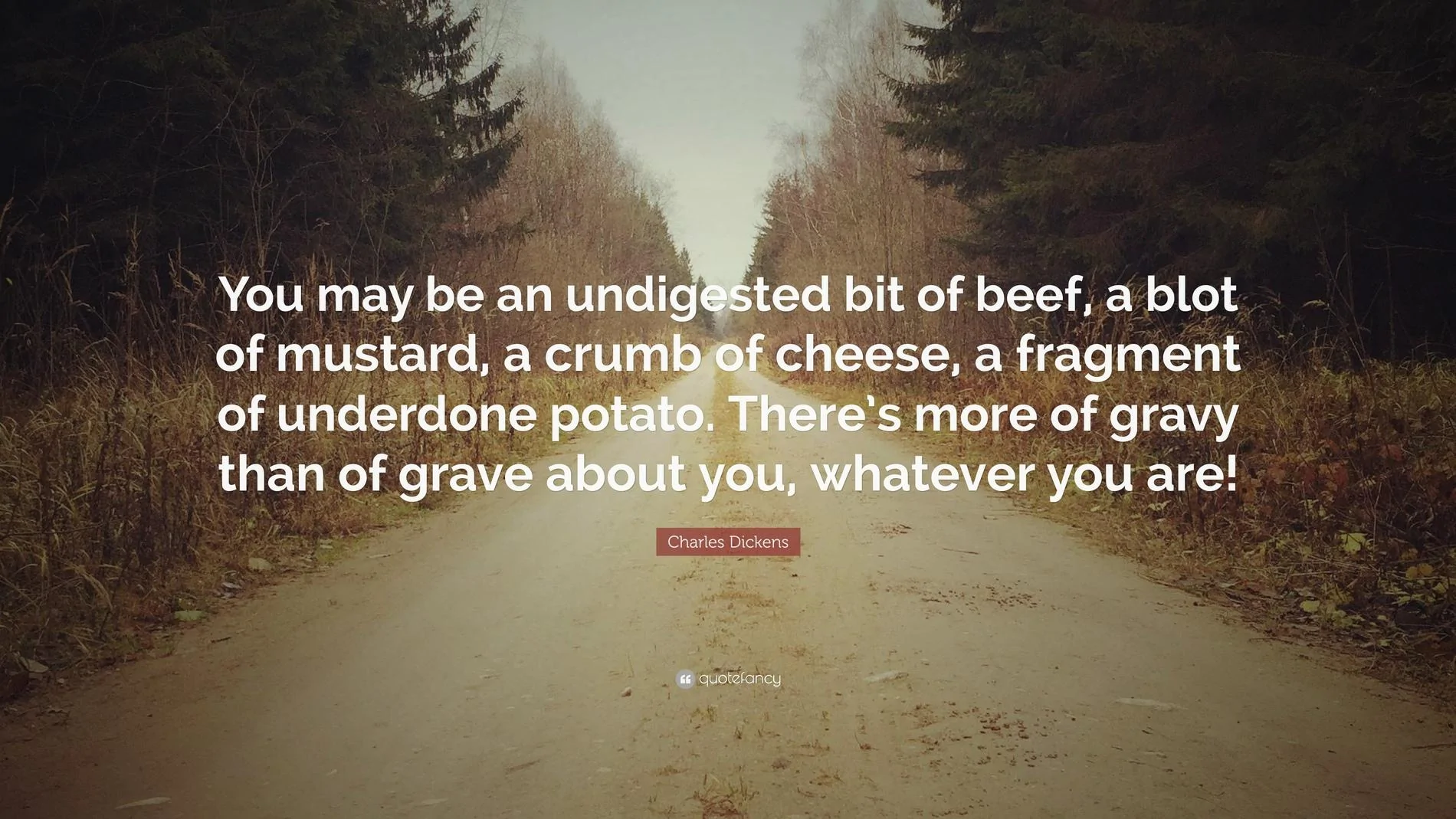 125852-Charles-Dickens-Quote-You-may-be-an-undigested-bit-of-beef-a-blot.webp