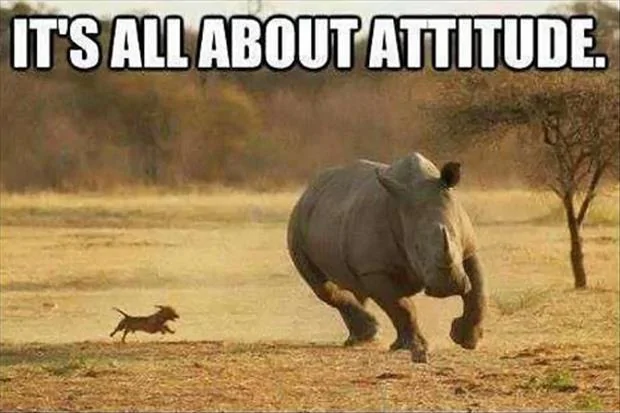 Jeep Wrangler JL Jeep humor waiting room ( ** NO POLITICS ** ) its-all-about-attitud