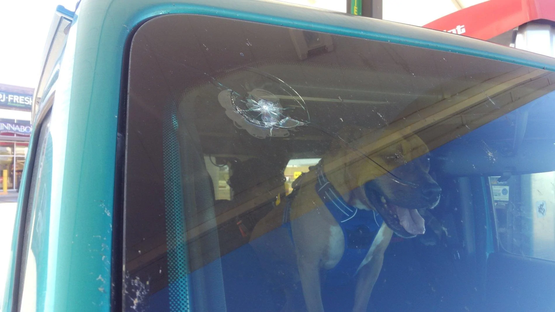 Jeep Wrangler JL Pretty wicked windshield rock damage in the first week 2019-10-16