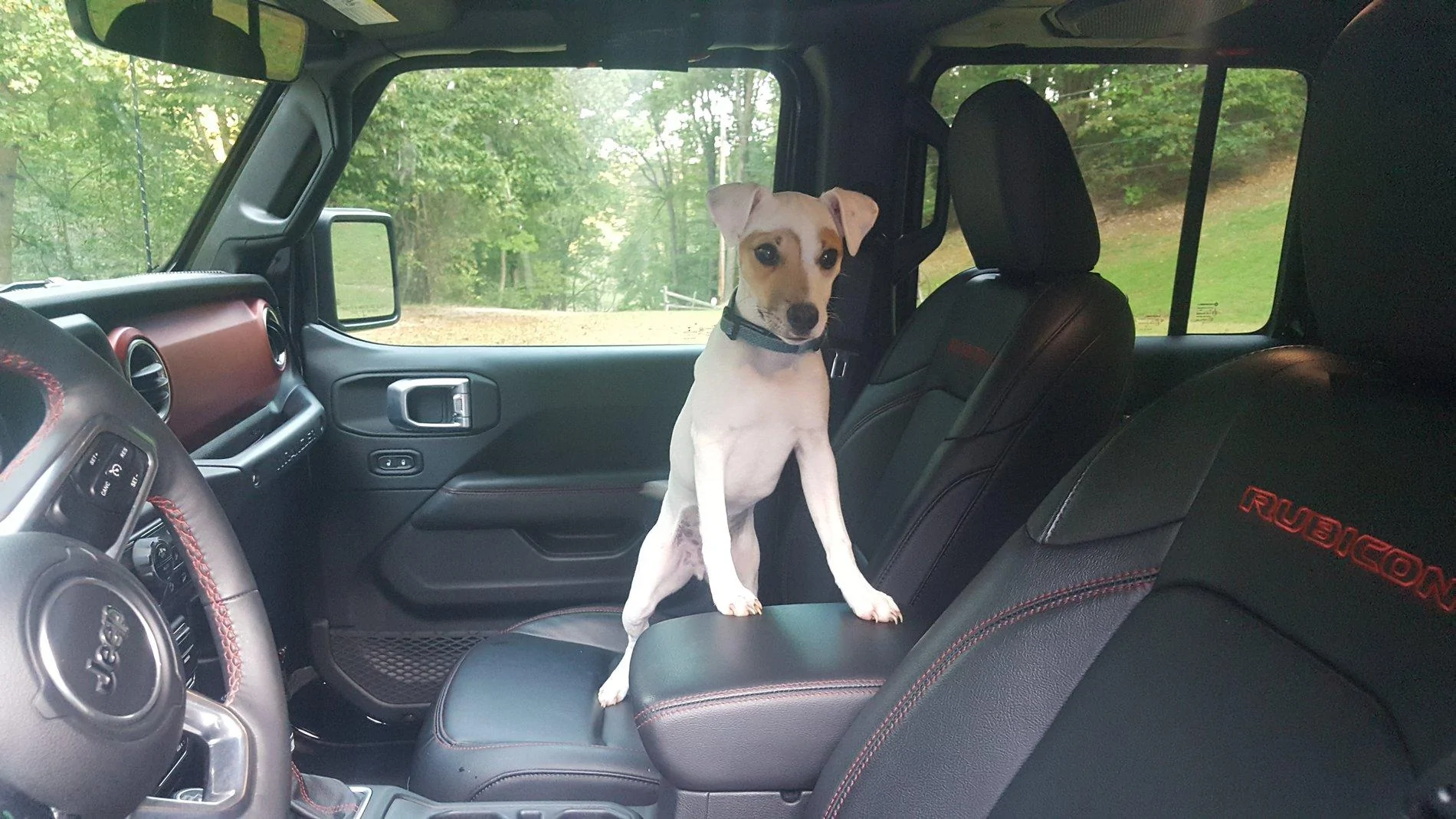 Jeep Wrangler JL Jeep Dog pics 20191003_182516