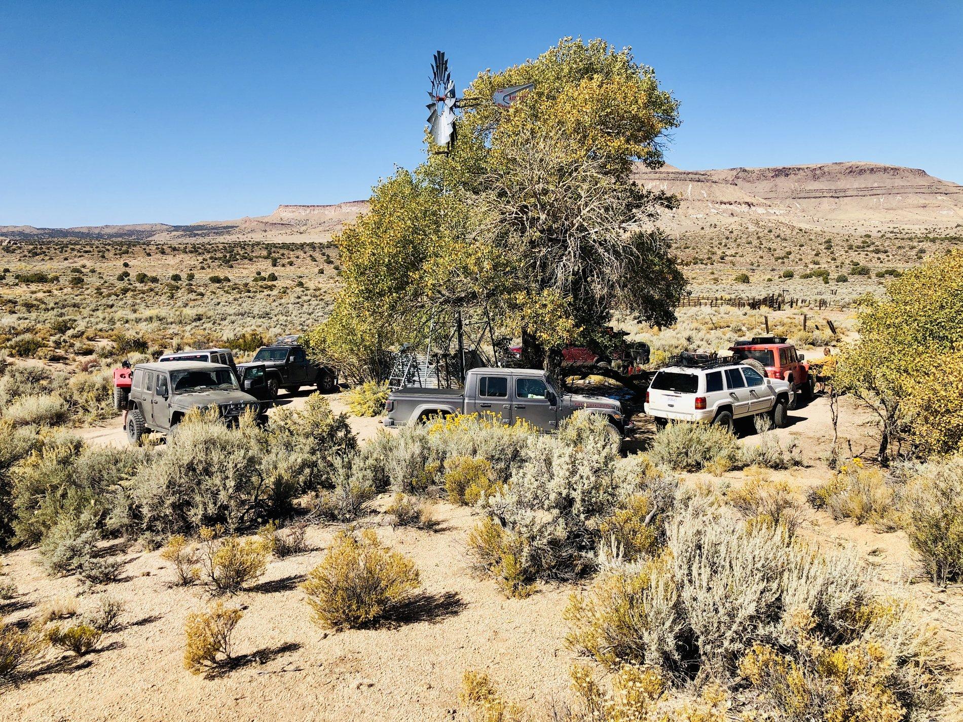 Jeep Wrangler JL Mojave Rd. roll call 02625223-C0E7-46F0-B6F4-C7DF2C2139E4