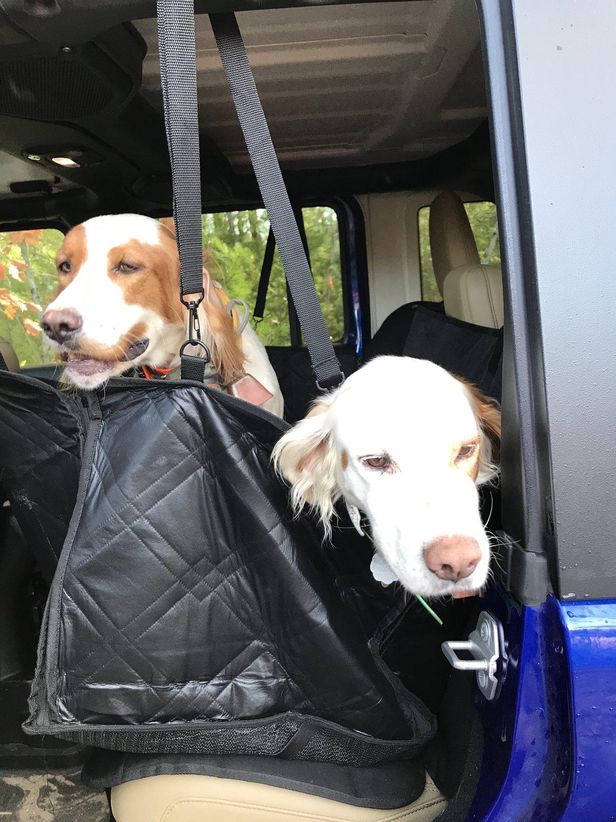 Jeep Wrangler JL Jeep Dog pics 97054008-6B84-4CE2-99C5-14A7216A1B6D