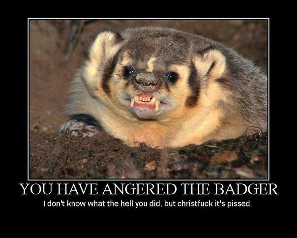 Jeep Wrangler JL Jeep humor waiting room ( ** NO POLITICS ** ) you-have-angered-the-badger