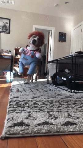 Jeep Wrangler JL Jeep humor waiting room ( ** NO POLITICS ** ) giphy