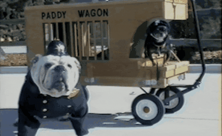 Jeep Wrangler JL Jeep humor waiting room ( ** NO POLITICS ** ) dog-police-costume