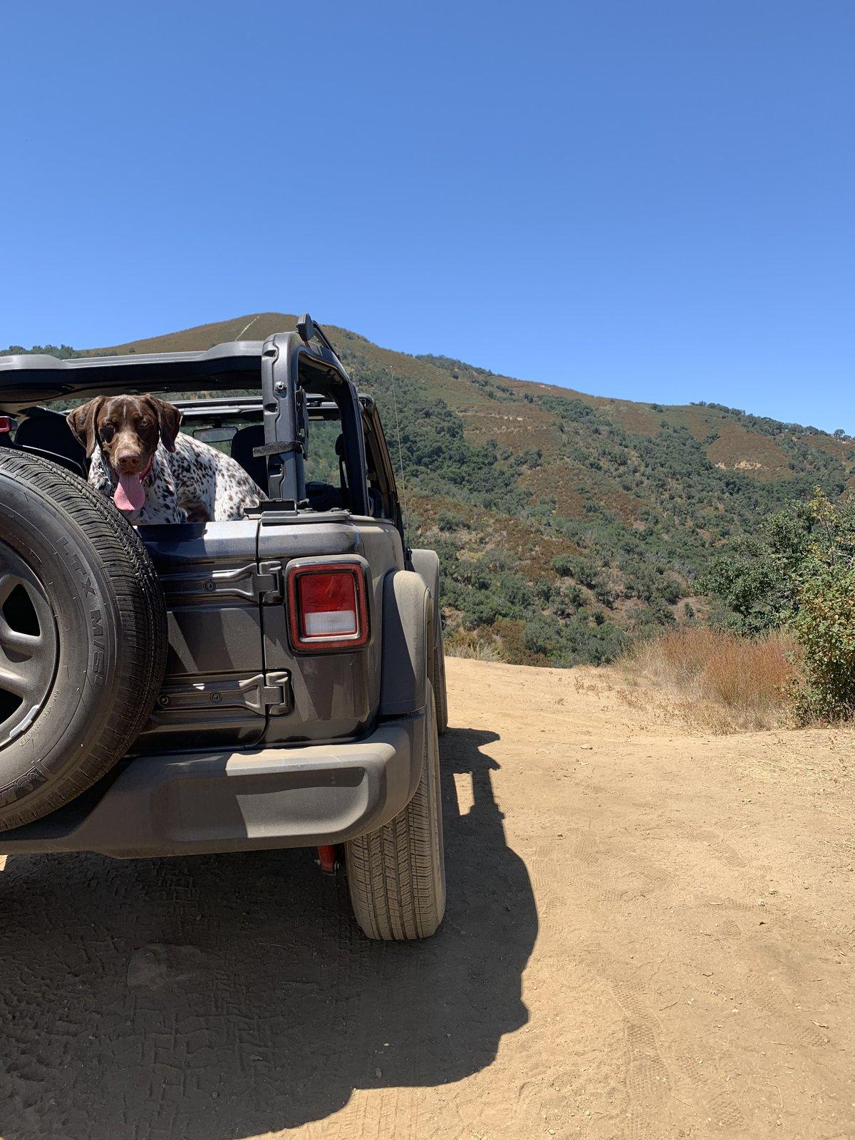 Jeep Wrangler JL Jeep Dog pics upload_2019-10-31_0-30-54