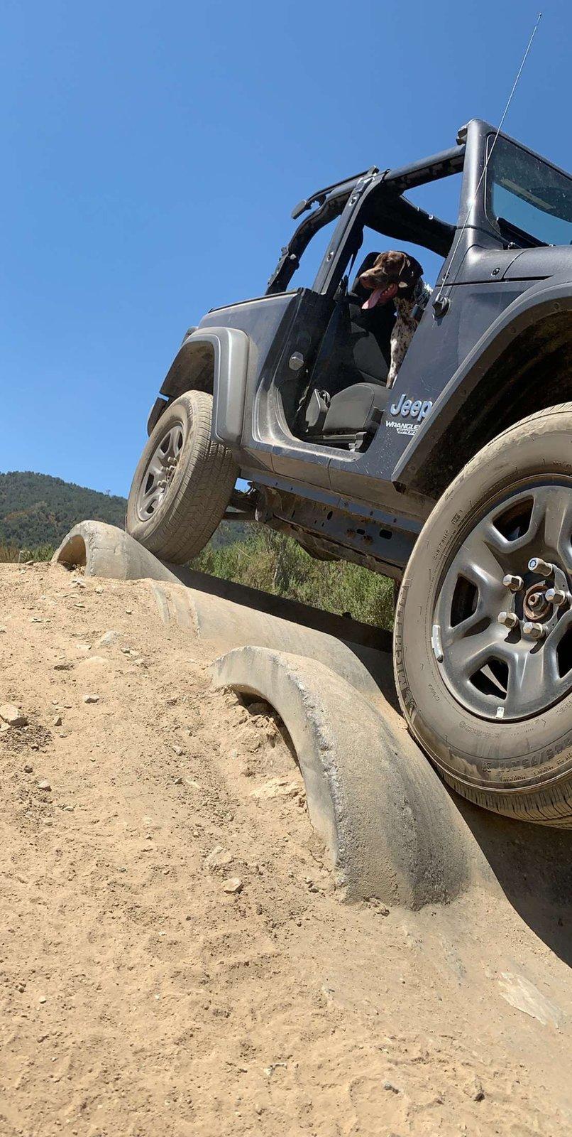 Jeep Wrangler JL Jeep Dog pics upload_2019-10-31_0-31-14