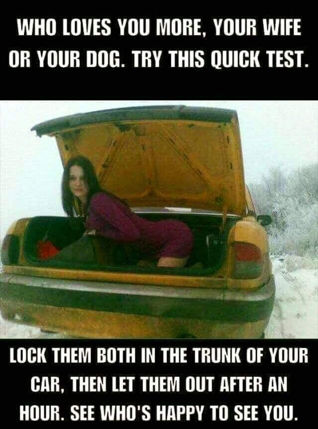Jeep Wrangler JL Jeep humor waiting room ( ** NO POLITICS ** ) 83BB9304-E764-4575-A960-310E9D7D0CE7