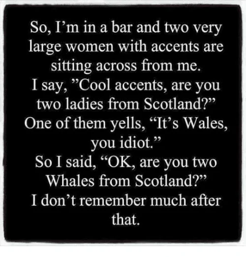 so-im-in-a-bar-and-two-very-large-women-27531750.webp