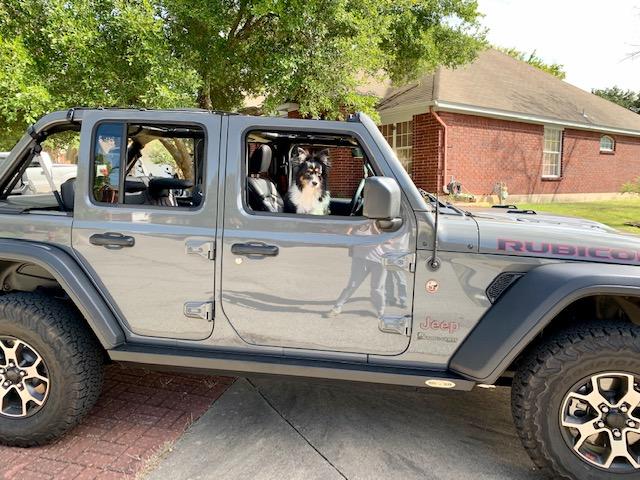 Jeep Wrangler JL Jeep Dog pics 1C840740-7E17-4F12-A461-888742CE58A2