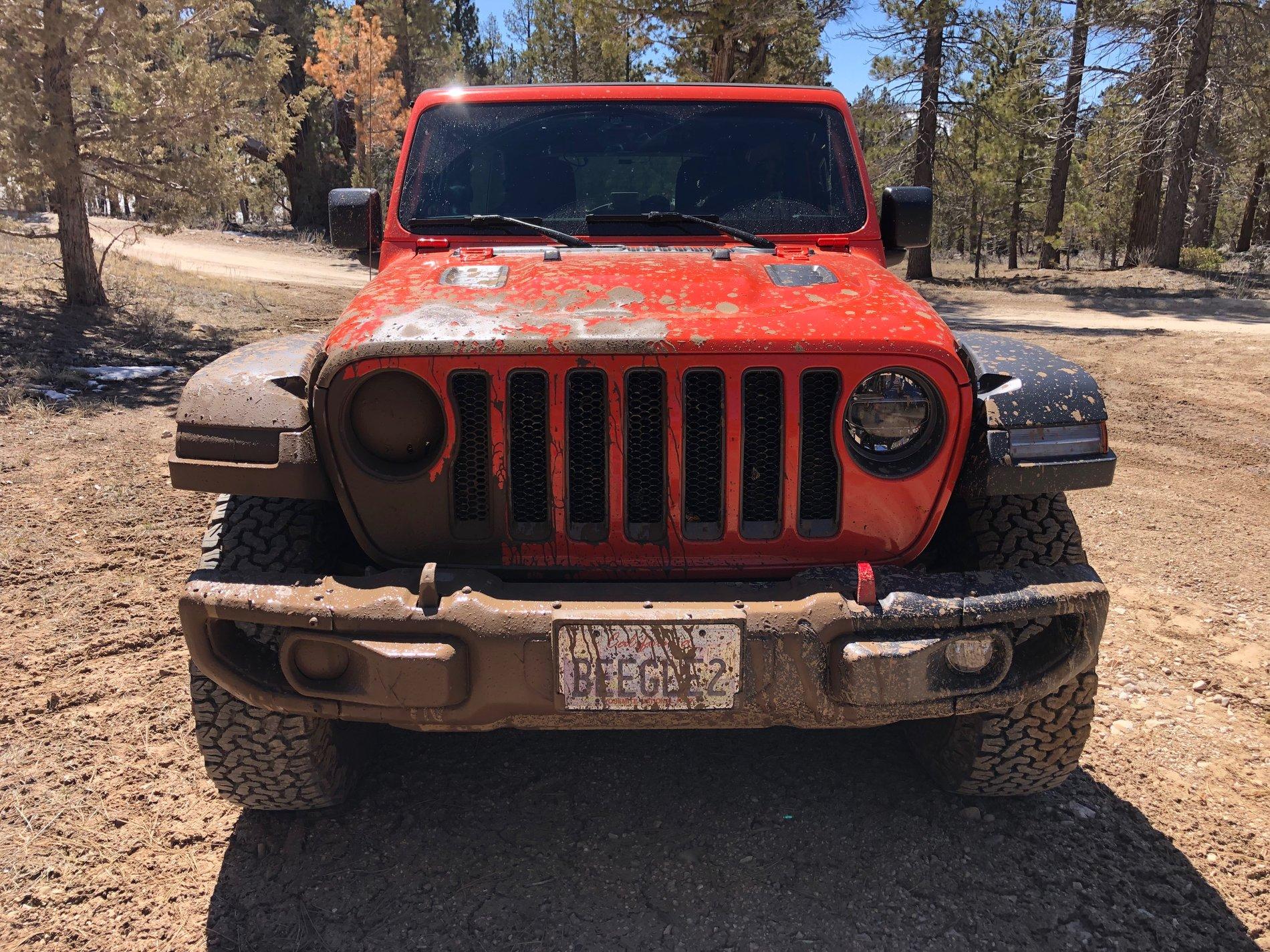 Jeep Wrangler JL Jeep humor waiting room ( ** NO POLITICS ** ) IMG_1382.JPG