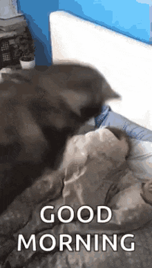 Jeep Wrangler JL Jeep humor waiting room ( ** NO POLITICS ** ) upload_2019-11-5_9-29-2