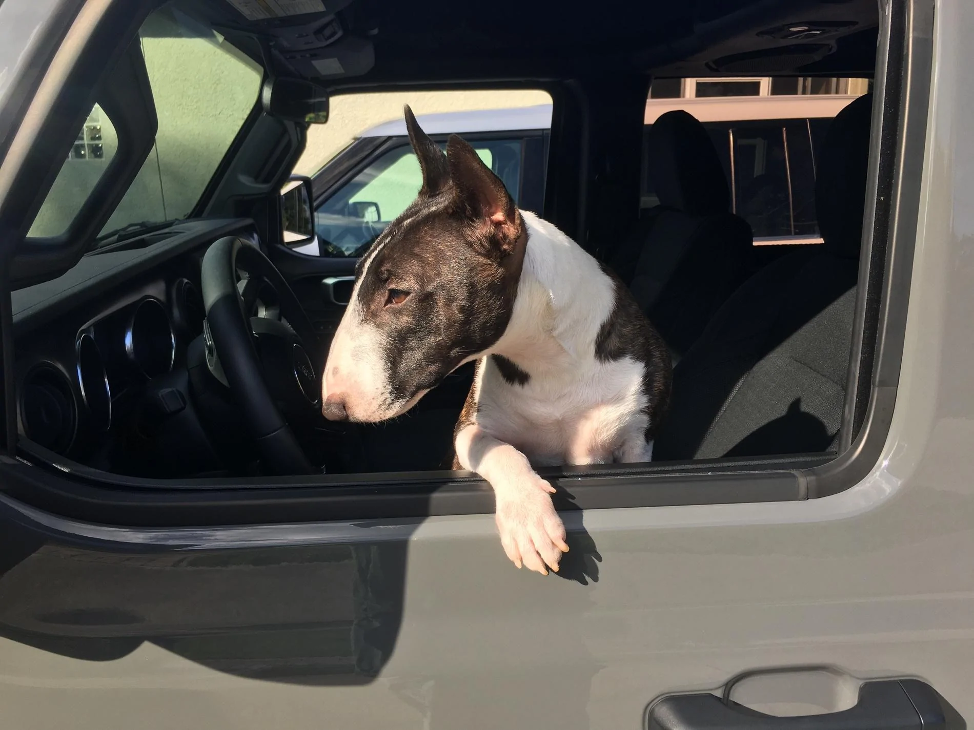 Jeep Wrangler JL Jeep Dog pics 571d5690a008b0aa65801eff2ac262