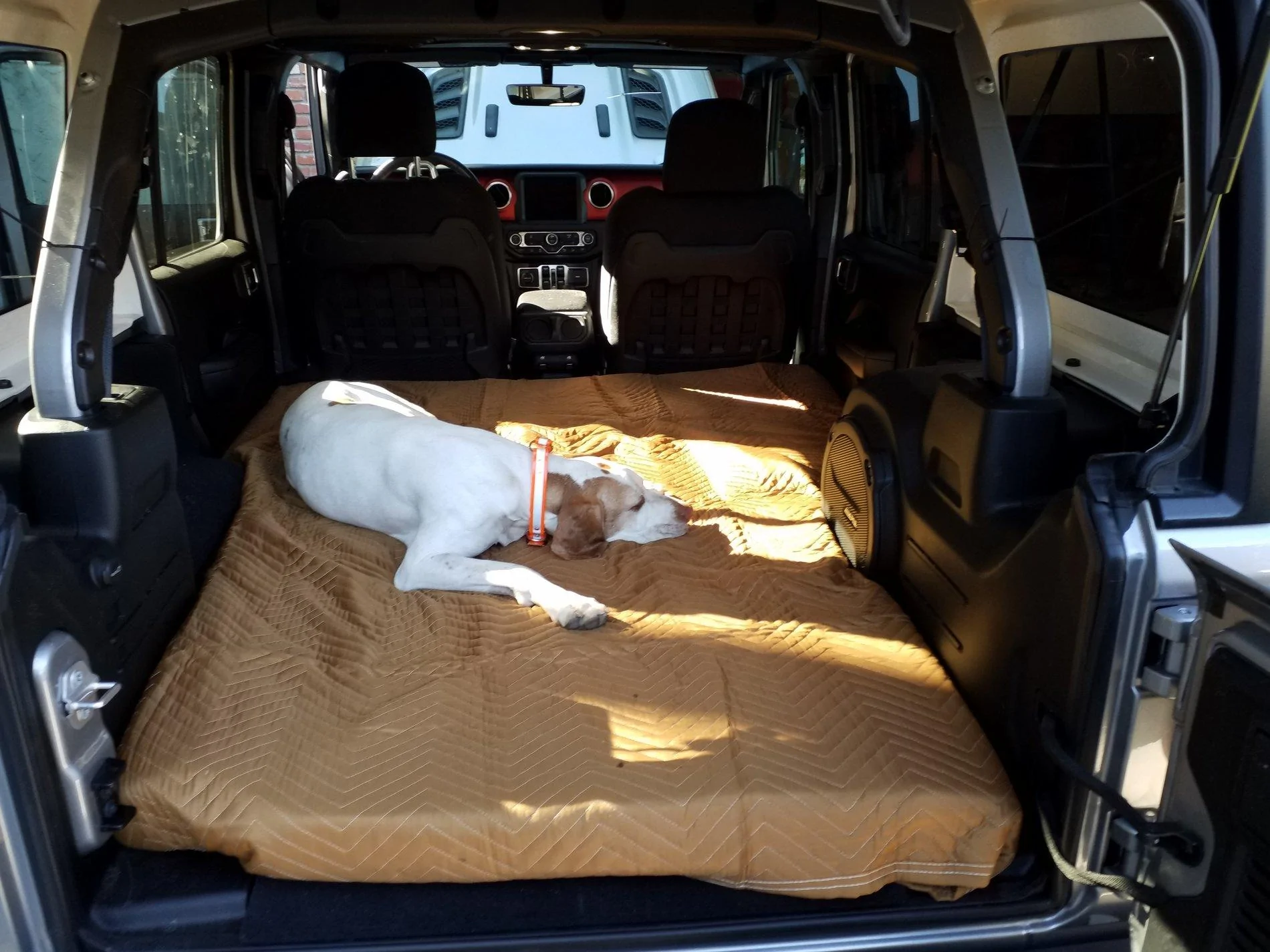 Jeep Wrangler JL Hard-Sided Dog Kennels? 20191022_152515