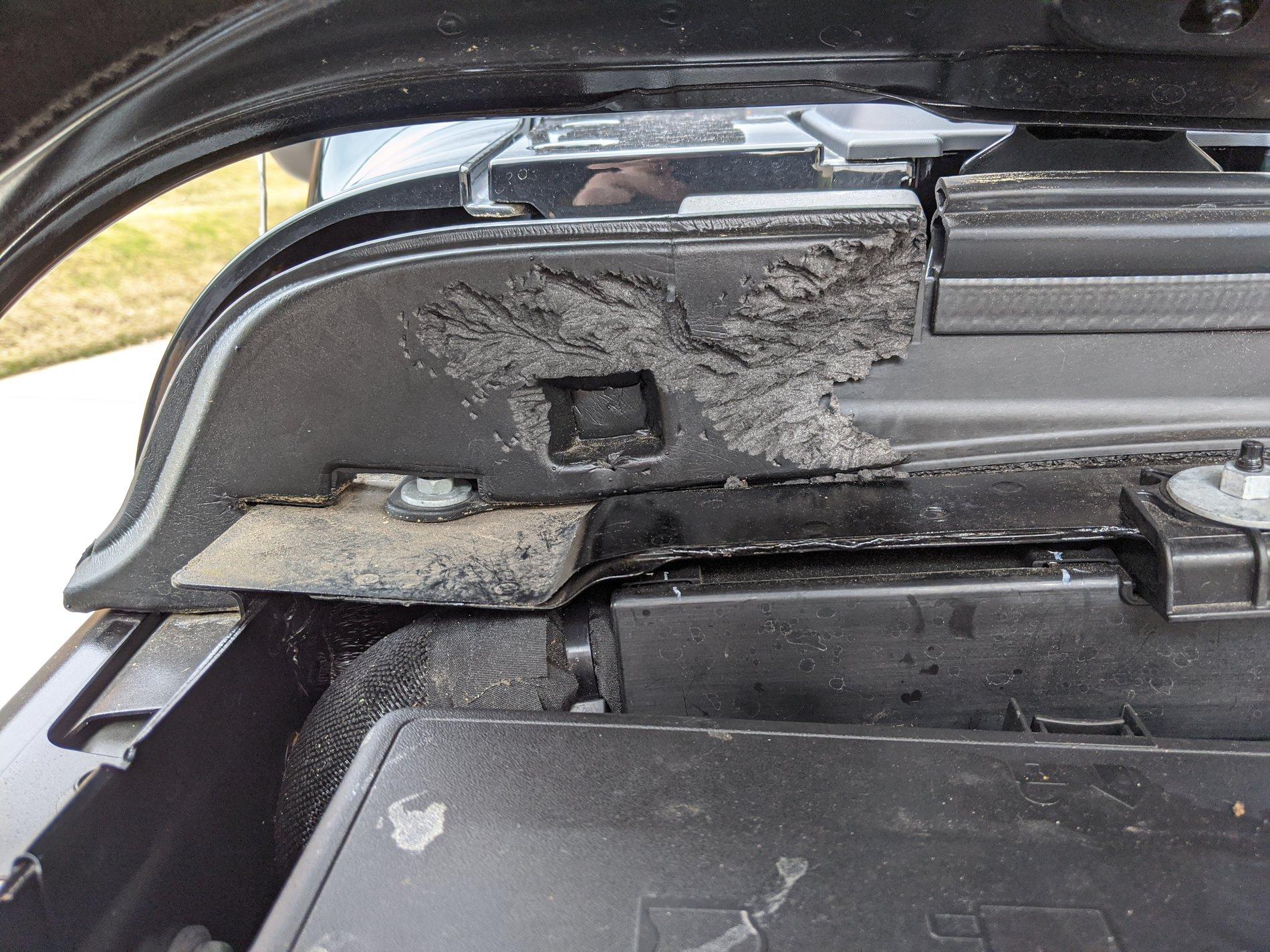 Jeep Wrangler JL Rats! IMG_20191123_132916