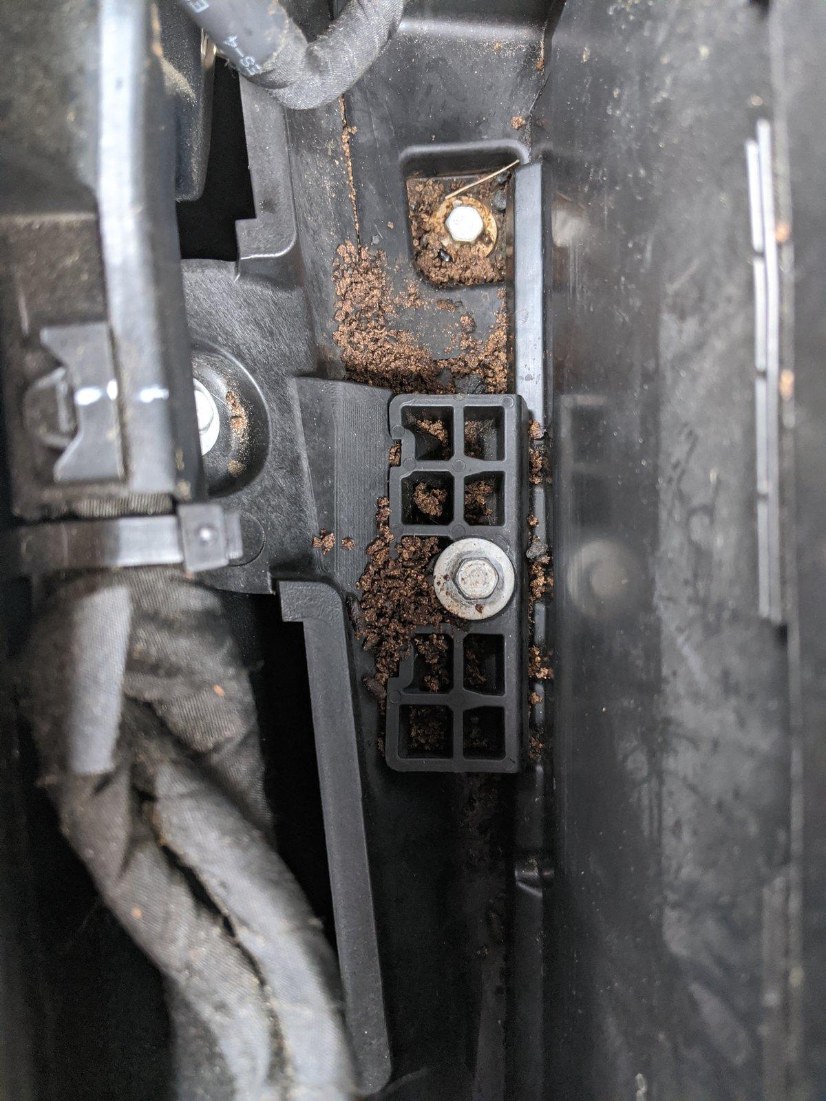 Jeep Wrangler JL Rats! IMG_20191123_132905