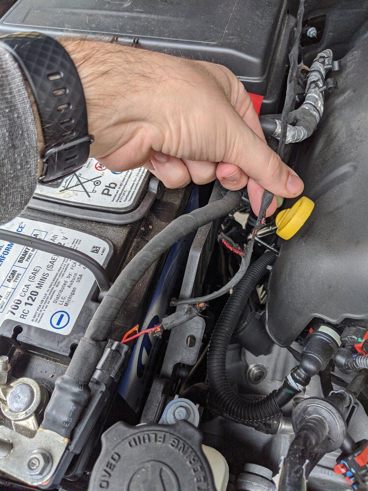 Jeep Wrangler JL Rats! IMG_20191123_132846